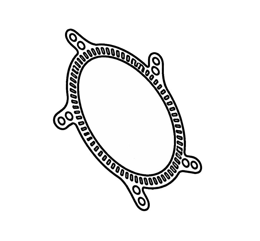 Ruota Fonica Anteriore - OEM